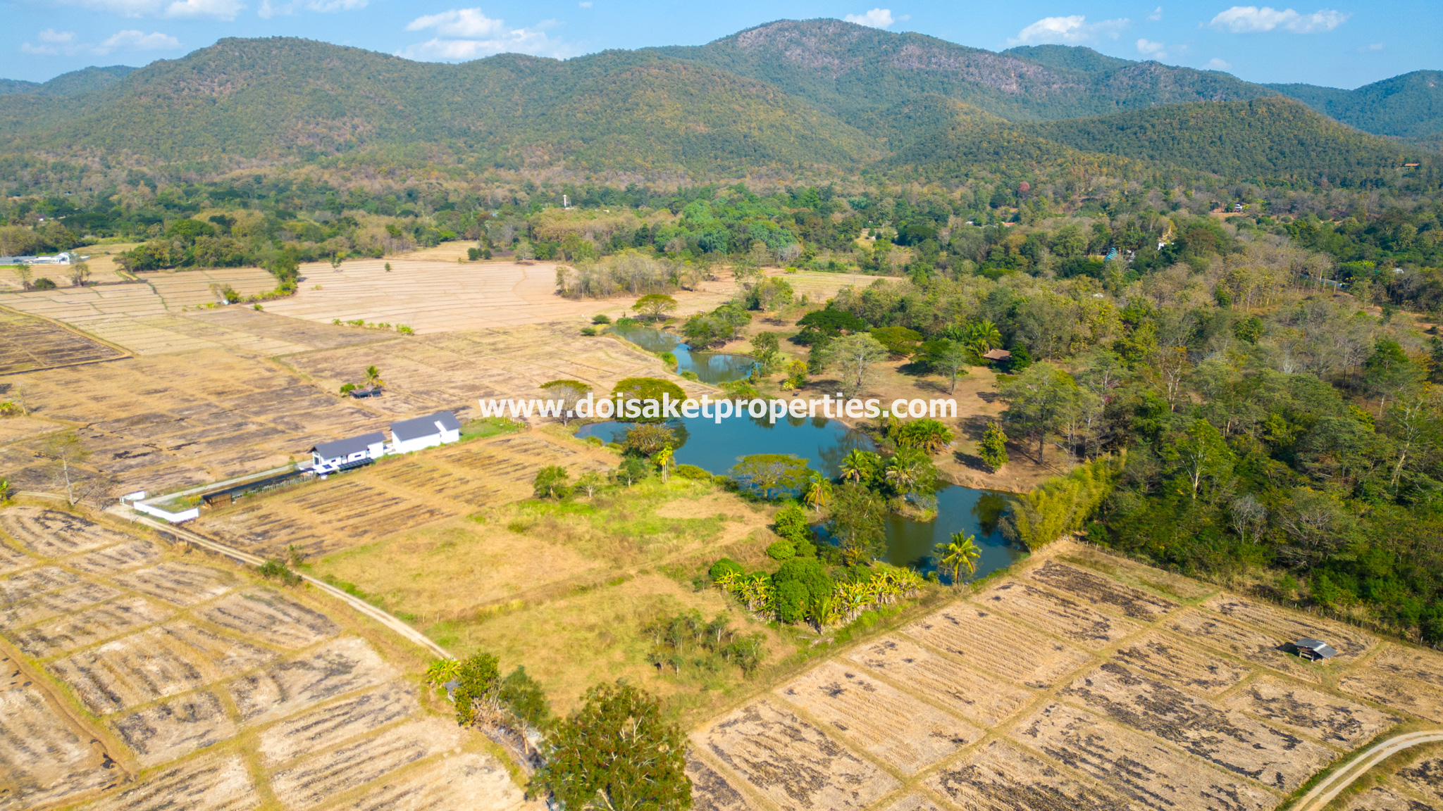 Doi Saket-DSP-(LS391-49) Beautiful ~49 Rai Plot of Land with Incredible Views for Sale in Luang Nua