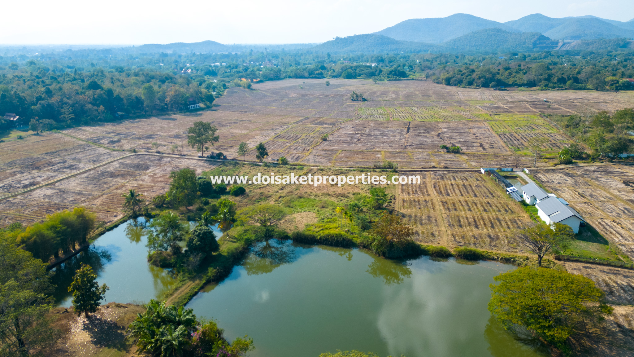 Doi Saket-DSP-(LS392-68) Amazing 68+ Rai Plot of Land with Stunning Views for Sale in Luang Nua