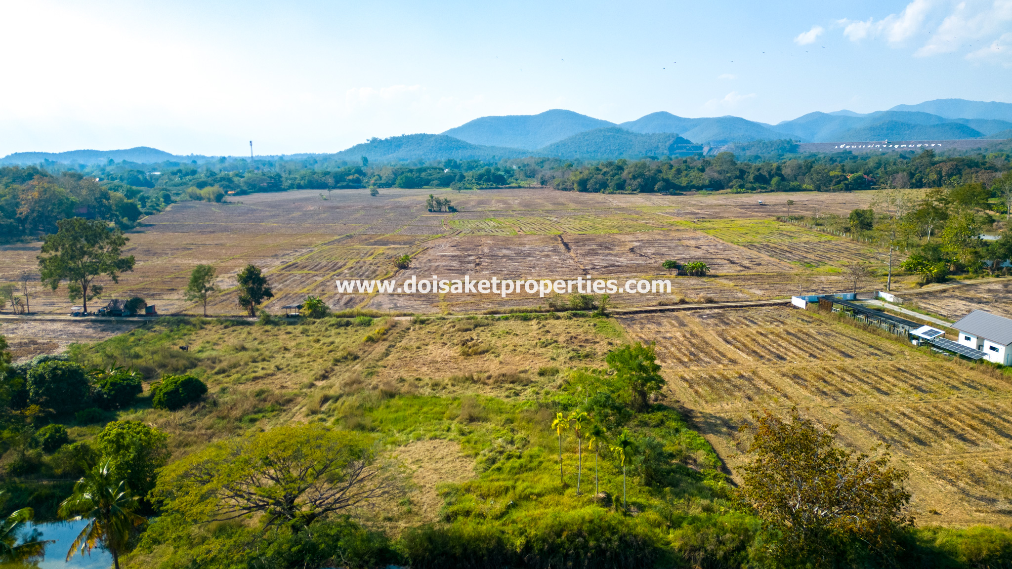 Doi Saket-DSP-(LS392-68) Amazing 68+ Rai Plot of Land with Stunning Views for Sale in Luang Nua