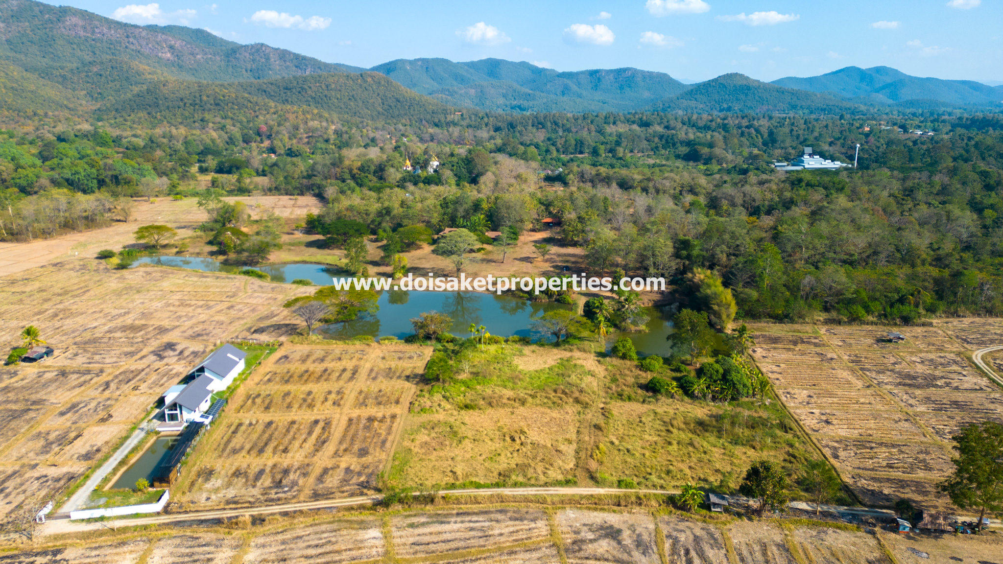 Doi Saket-DSP-(LS392-68) Amazing 68+ Rai Plot of Land with Stunning Views for Sale in Luang Nua