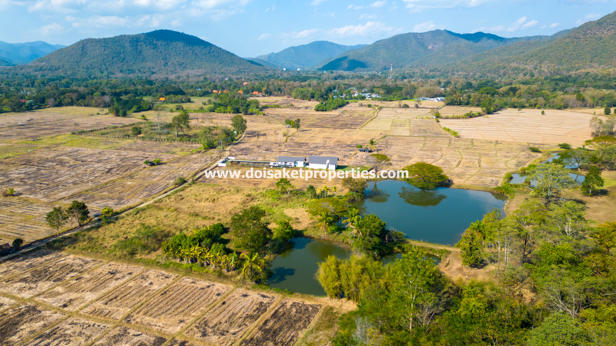 Doi Saket-DSP-(LS392-68) Amazing 68+ Rai Plot of Land with Stunning Views for Sale in Luang Nua