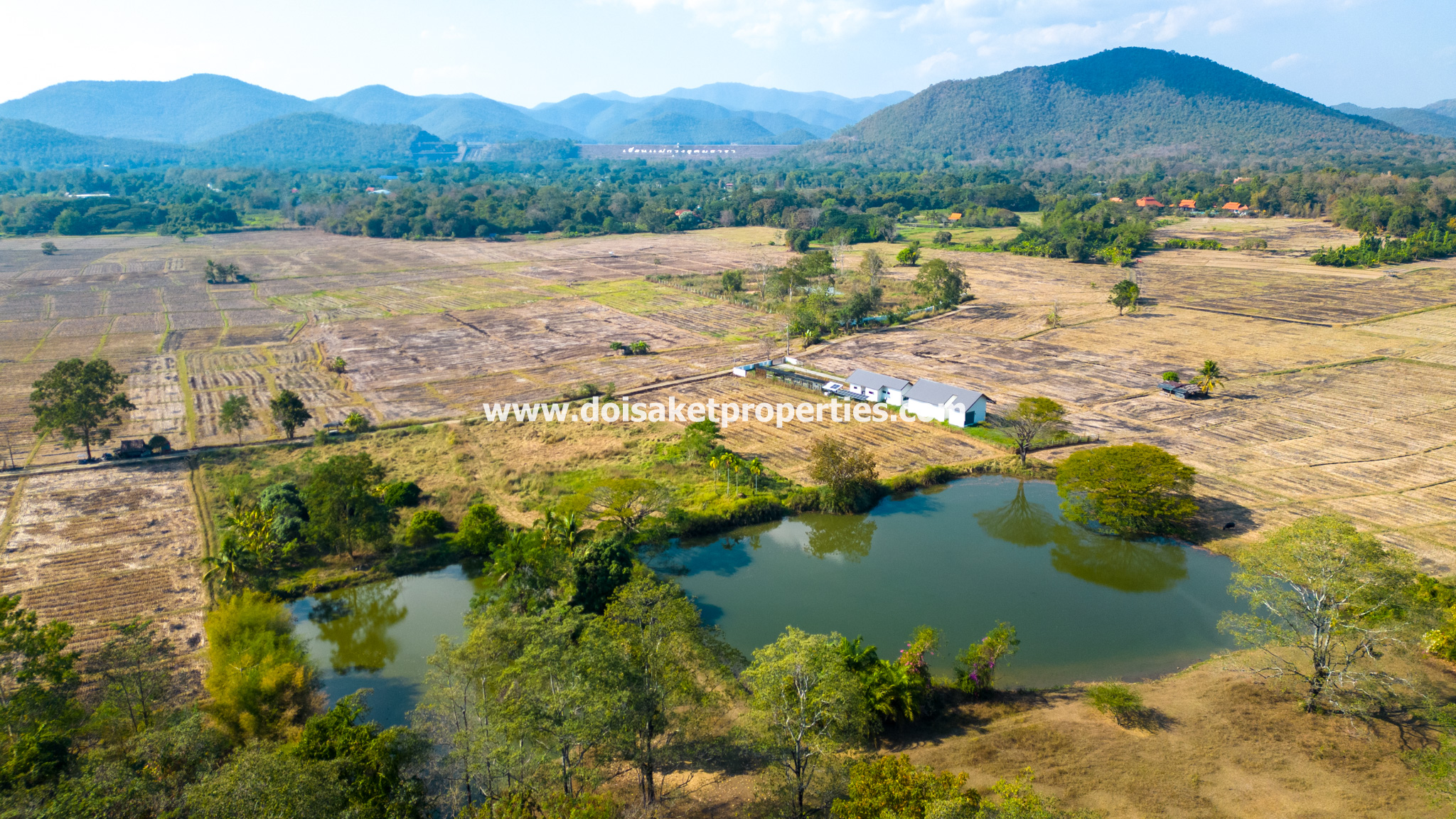 Doi Saket-DSP-(LS392-68) Amazing 68+ Rai Plot of Land with Stunning Views for Sale in Luang Nua