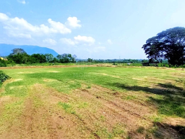 Property ID201LS Land for sale in Chiang Dao