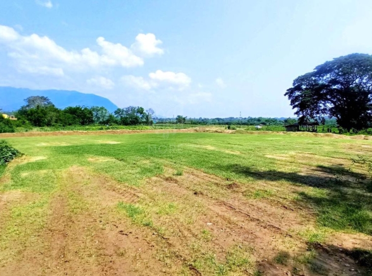 Property ID201LS Land for sale in Chiang Dao