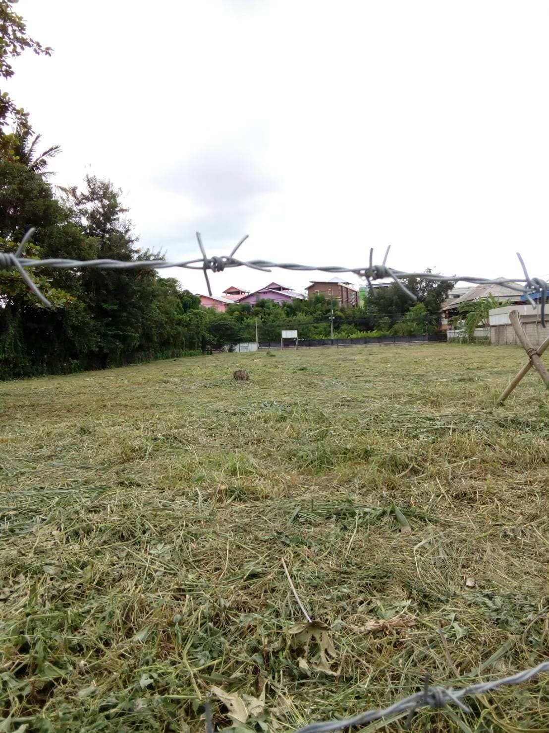 Land for sale Chiang Mai 32m Frontage | Near Hospitals & Shopping.-CMP-16