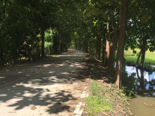 Land for Sale in Chiang Mai | 25 Rai with Excellent Accessibility.-CMP-227