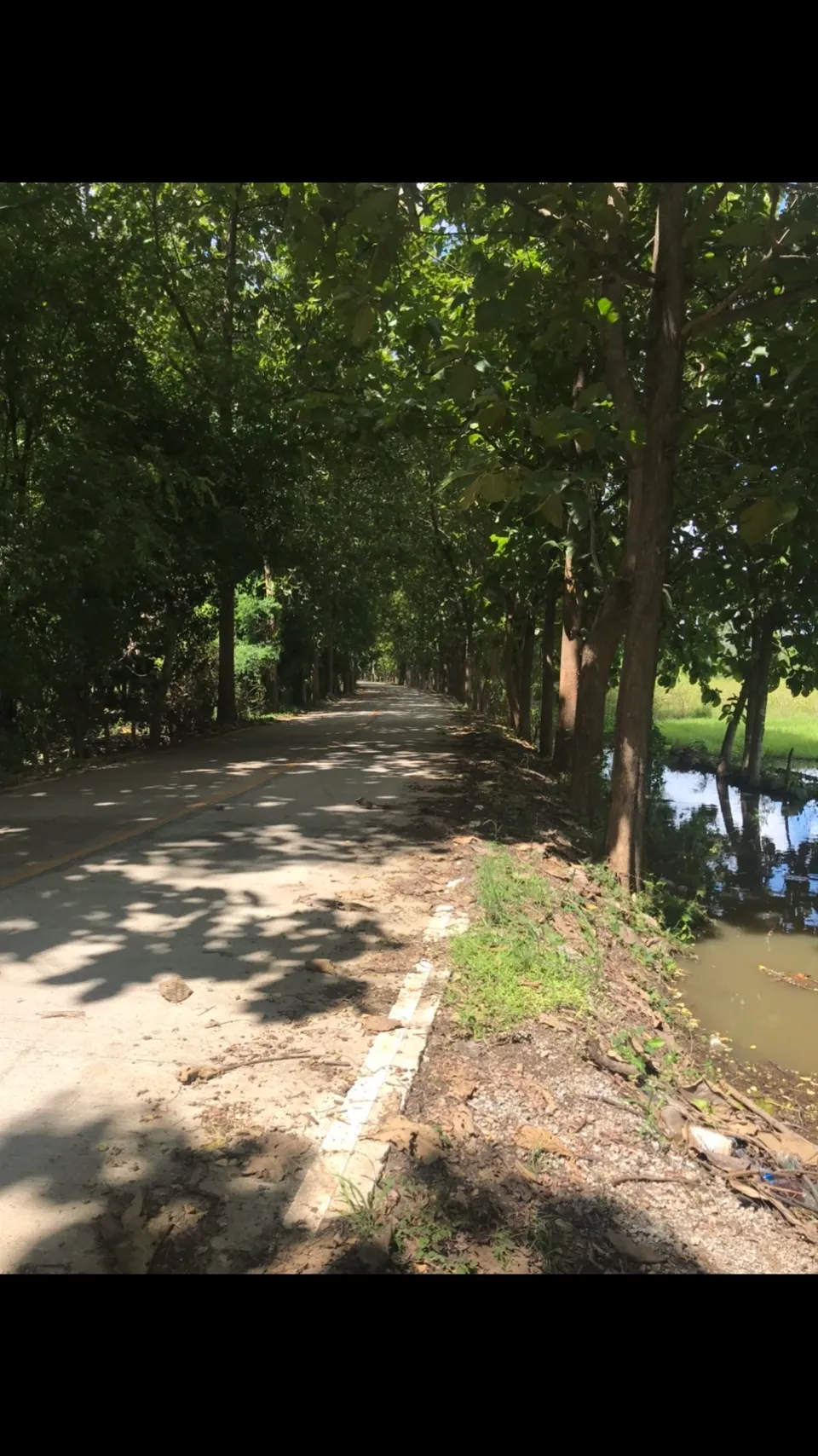 Land for Sale in Chiang Mai | 25 Rai with Excellent Accessibility.-CMP-227