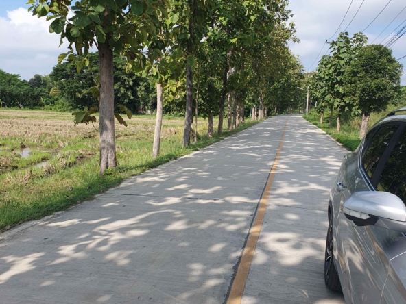 10 Rai Land for Sale in Chiang Mai | Excellent Investment Opportunity-CMP-236