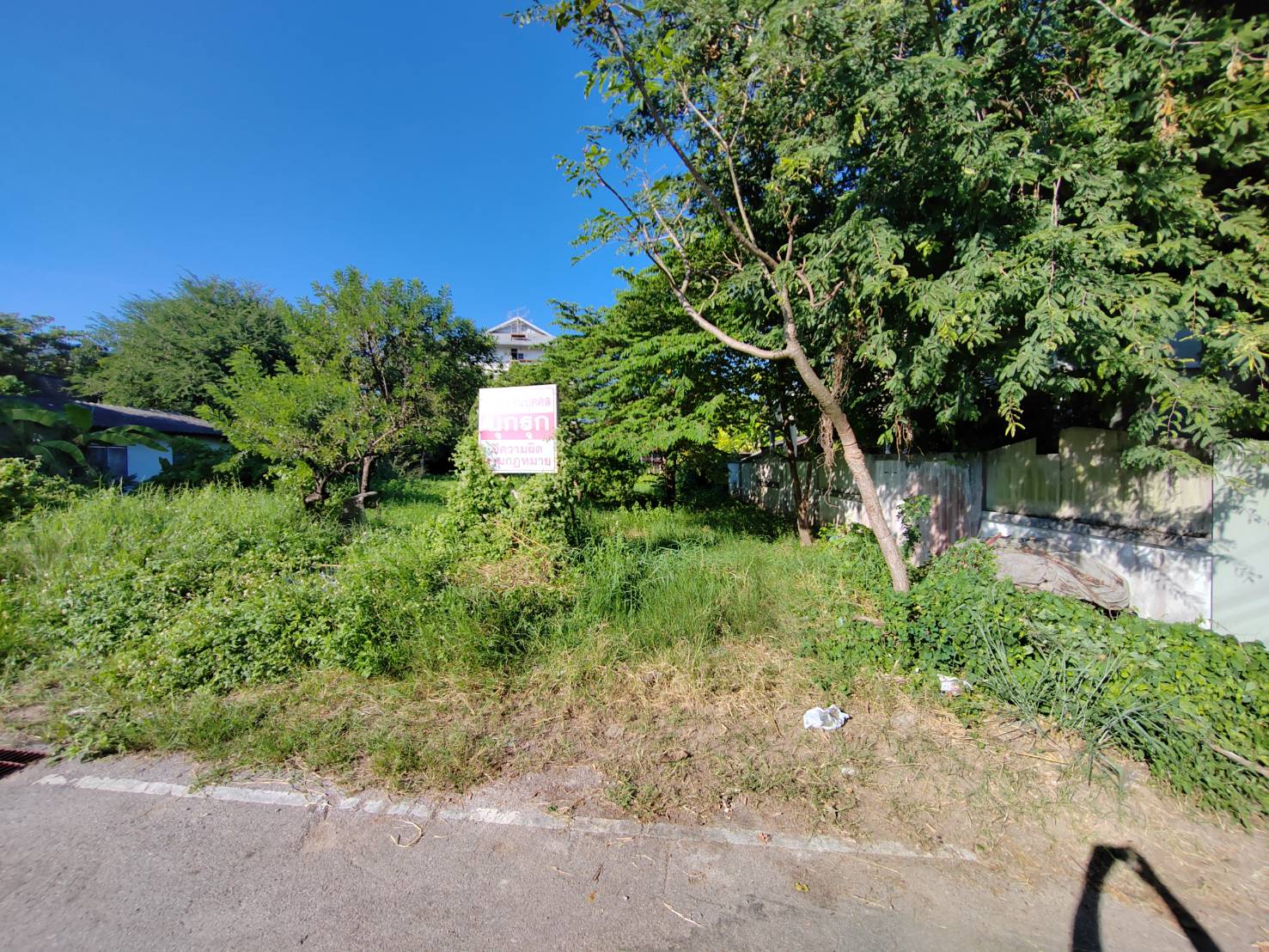 Prime Land for Sale Chiang Mai - Ideal for Residential or Commercial-CMP-242