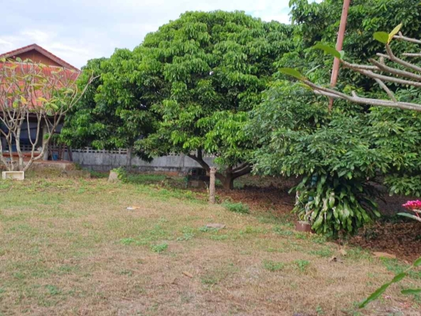 Prime Land for Sale in Chiang Mai | 1