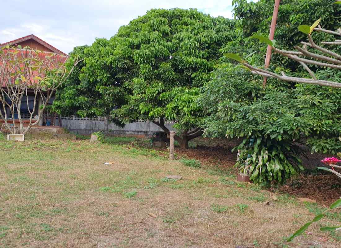 Prime Land for Sale in Chiang Mai | 1