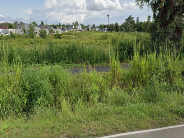 755 Sq W Plot in San Pa Tong-CMP-256