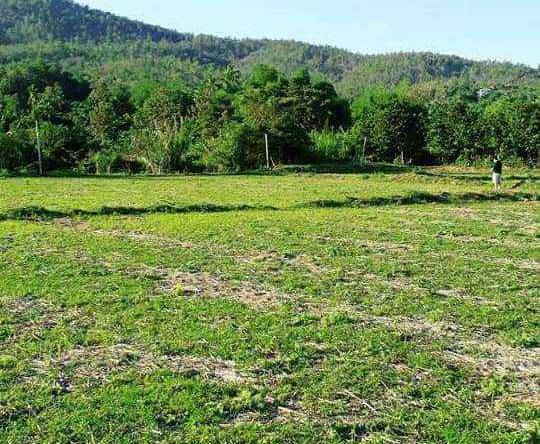 Land for Sale in Chiang Mai - 5 Rai Plot Near Mae Klang Water 10M THB-CMP-273