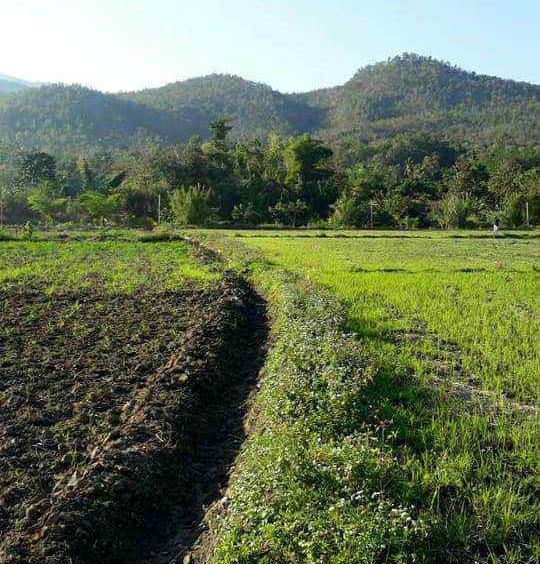 Land for Sale in Chiang Mai - 5 Rai Plot Near Mae Klang Water 10M THB-CMP-273