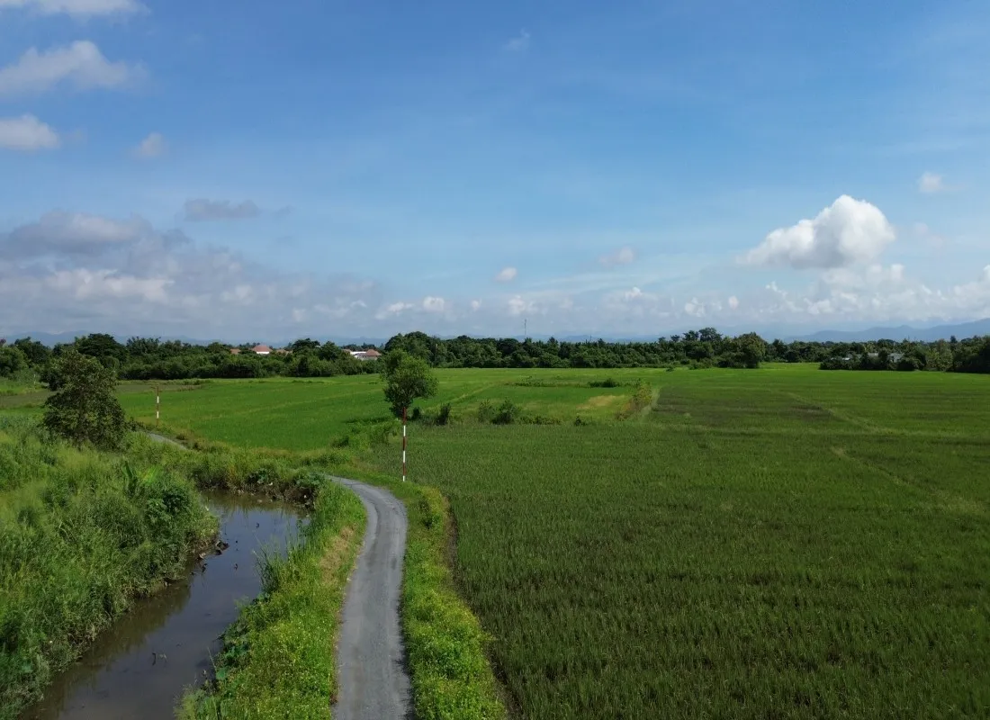 114 Rai Prime Land for Sale in San Kamphaeng