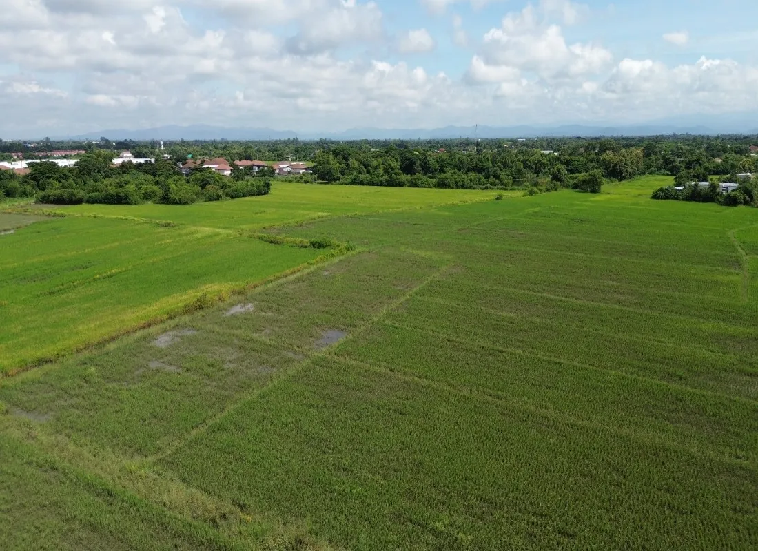 114 Rai Prime Land for Sale in San Kamphaeng