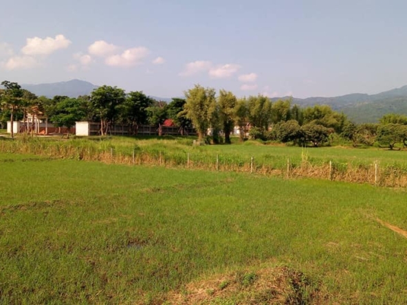 Tranquil Mae Rim Land for sale Chiang Mai | 2 Rai