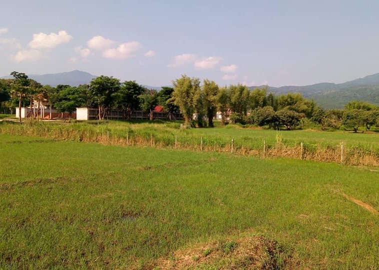 Tranquil Mae Rim Land for sale Chiang Mai | 2 Rai