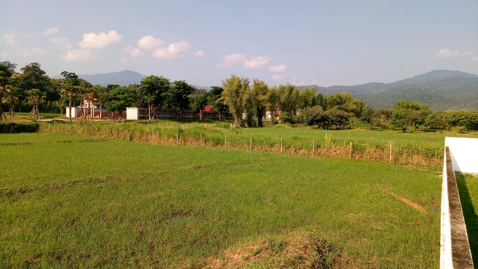 Tranquil Mae Rim Land for sale Chiang Mai | 2 Rai