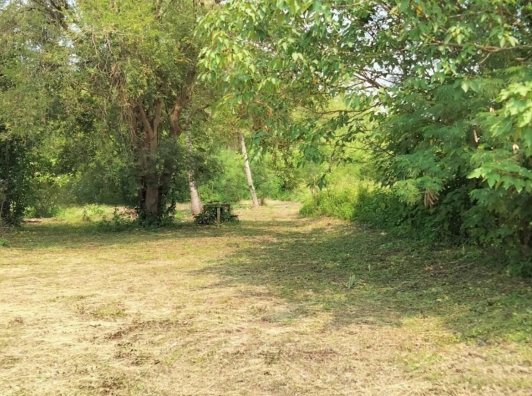 11 Rai Land for Sale near Chiang Mai - Great Location.-CMP-7