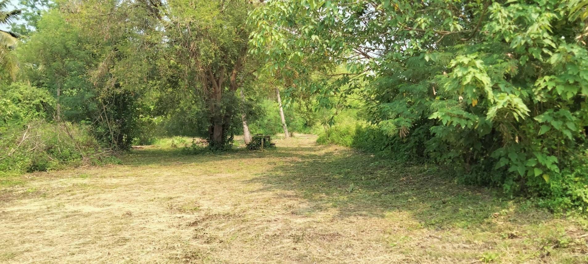 11 Rai Land for Sale near Chiang Mai - Great Location.-CMP-7