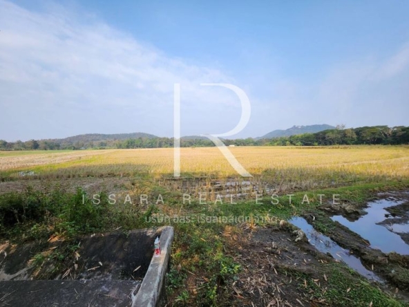 7 Rai of Land with Incredible Views for Sale in Doi Saket Chiang Mai-IRE-IRELS001