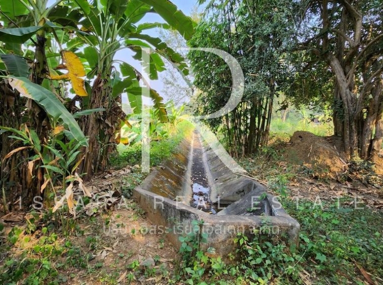 7 Rai of Land with Incredible Views for Sale in Doi Saket Chiang Mai-IRE-IRELS001