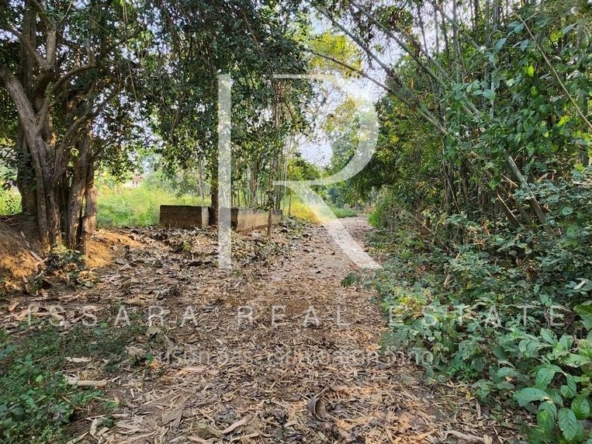 7 Rai of Land with Incredible Views for Sale in Doi Saket Chiang Mai-IRE-IRELS001