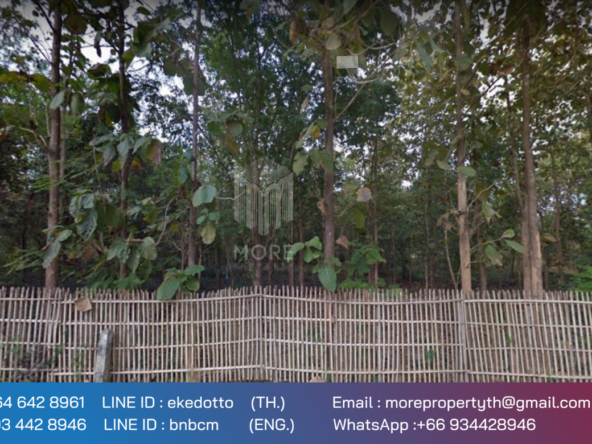 Property id 066LS Land for sale in Chiang Mai 3-3-15 Rai near Nong Bua Phra Chao Luang