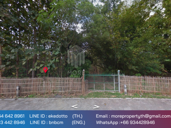 Property id 066LS Land for sale in Chiang Mai 3-3-15 Rai near Nong Bua Phra Chao Luang