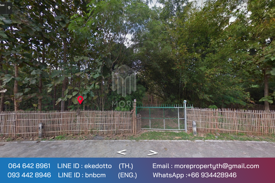 Property id 066LS Land for sale in Chiang Mai 3-3-15 Rai near Nong Bua Phra Chao Luang