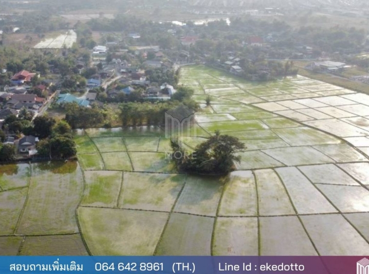 Property id119LSLand for sale in Doi Saket 14-0-38 Rai  near Ornsirin6-MR-119ls