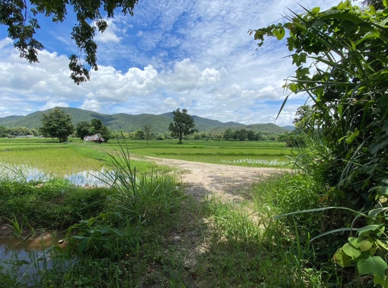 8+rai of ready to build land with stunning views for sale in Doi Saket