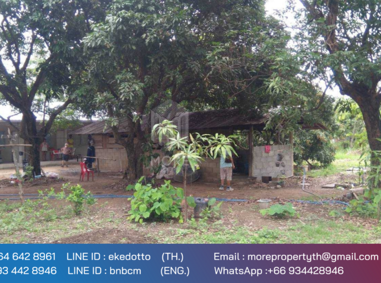 Property id 080LS Land for sale in Chiang Mai 1-2 - 12 rai