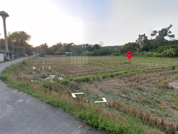 Property id149ls Land for sale in hangdong 1-1-53Rai  nearSanctum Co.-MR-149ls