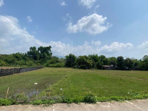 Property id149ls Land for sale in hangdong 1-1-53Rai  nearSanctum Co.-MR-149ls