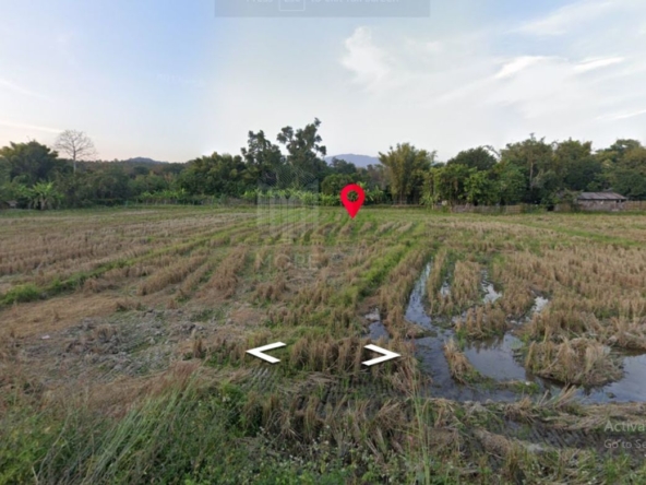 Property id149ls Land for sale in hangdong 1-1-53Rai  nearSanctum Co.-MR-149ls