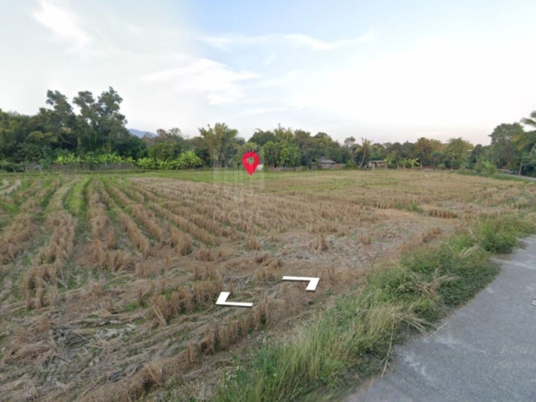 Property id149ls Land for sale in hangdong 1-1-53Rai  nearSanctum Co.-MR-149ls