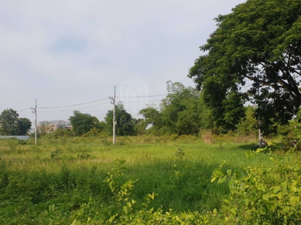 Property id174ls Land for sale in Hangdong  9-0-49Rai  near Grand Canyon Water park-MR-174LS