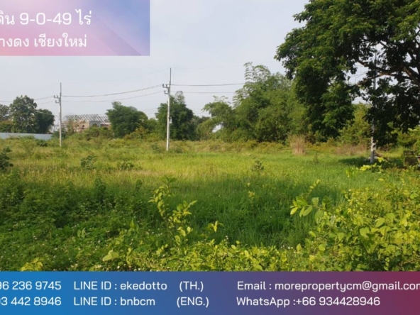 Property id174ls Land for sale in Hangdong  9-0-49Rai  near Grand Canyon Water park-MR-174LS