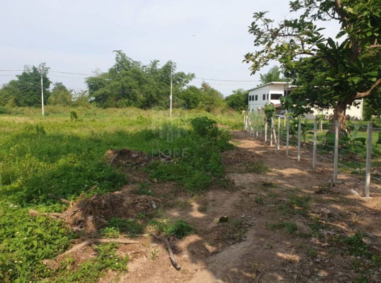 Property id175ls Land for sale in Hangdong 2-2-41 Rai near Grand Canyon water park-MR-175ls