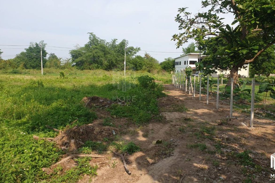 Property id175ls Land for sale in Hangdong 2-2-41 Rai near Grand Canyon water park-MR-175ls