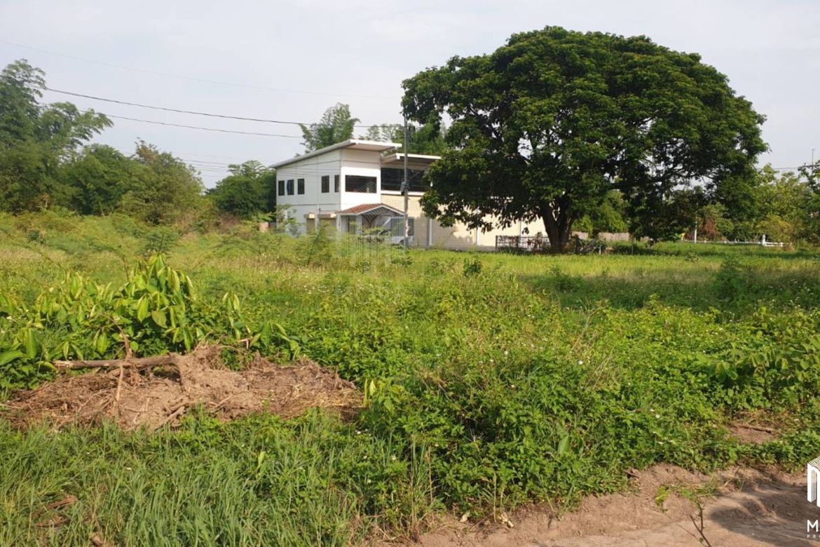 Property id175ls Land for sale in Hangdong 2-2-41 Rai near Grand Canyon water park-MR-175ls