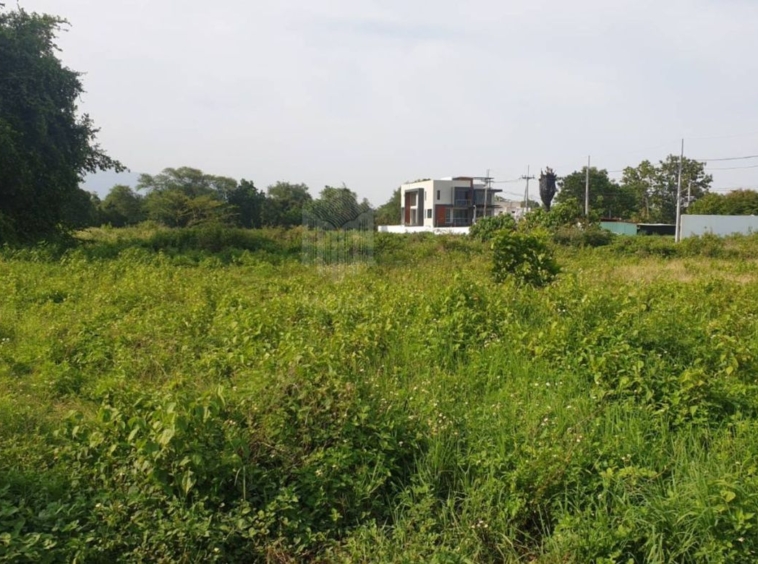 Property id175ls Land for sale in Hangdong 2-2-41 Rai near Grand Canyon water park-MR-175ls