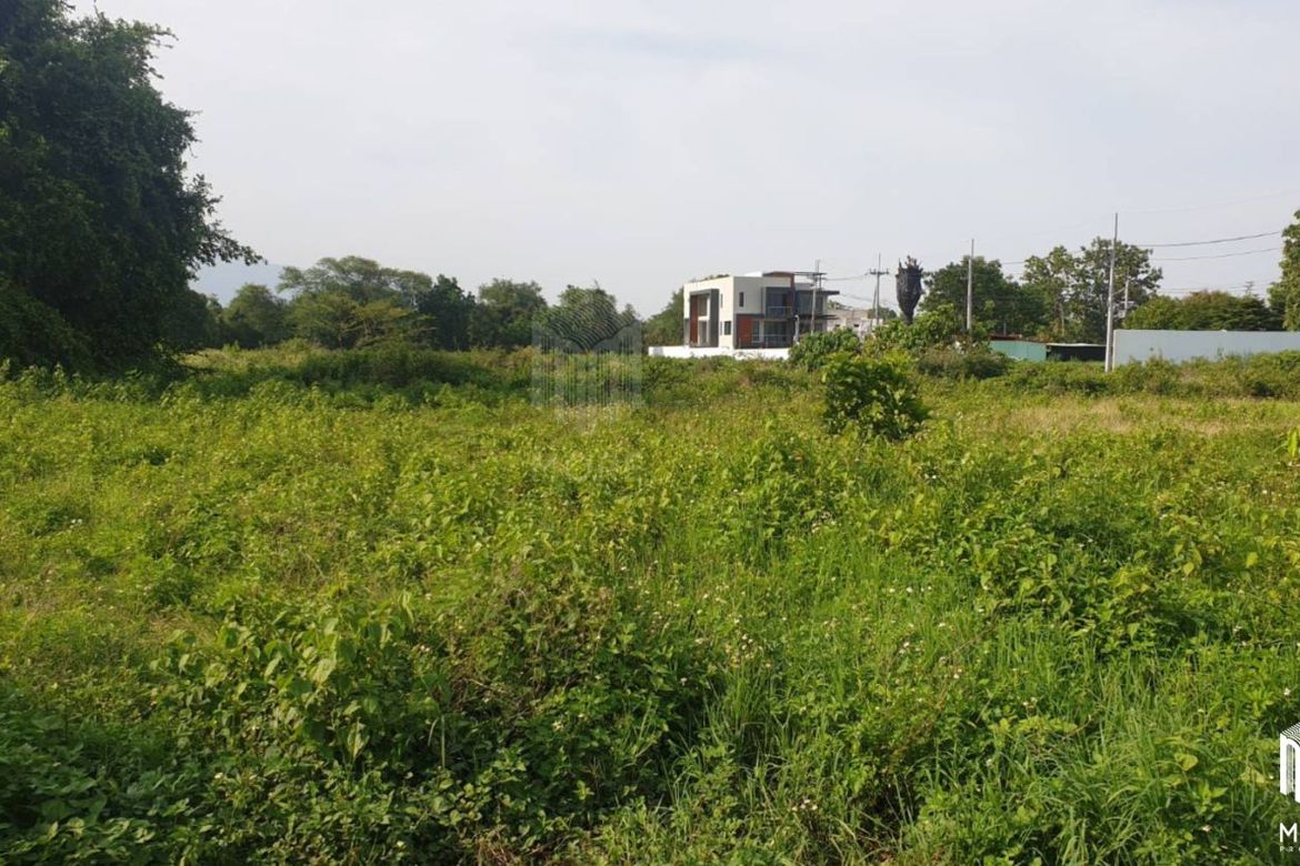 Property id175ls Land for sale in Hangdong 2-2-41 Rai near Grand Canyon water park-MR-175ls