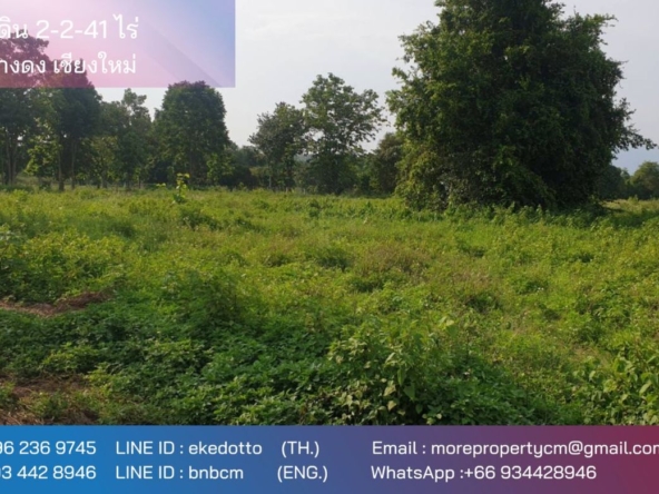 Property id175ls Land for sale in Hangdong 2-2-41 Rai near Grand Canyon water park-MR-175ls