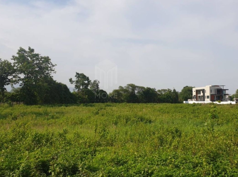 Property id175ls Land for sale in Hangdong 2-2-41 Rai near Grand Canyon water park-MR-175ls