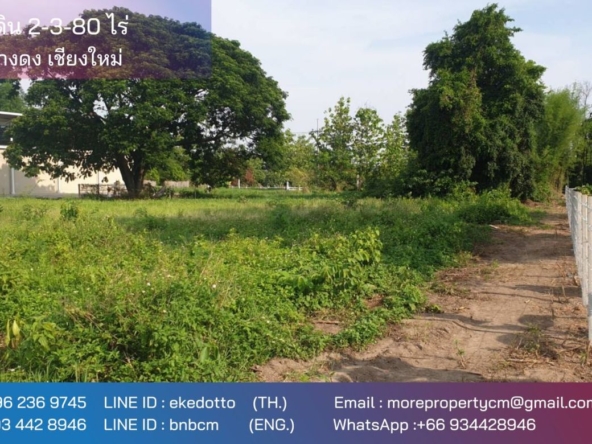 Property id177ls Land for sale in Hangdong 2-3-80 Rai  near Grand Canyon water park-MR-177LS