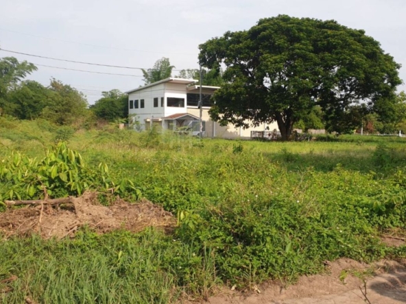 Property id177ls Land for sale in Hangdong 2-3-80 Rai  near Grand Canyon water park-MR-177LS