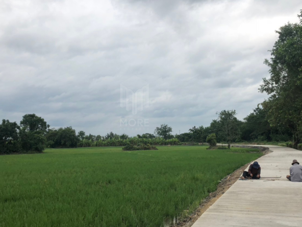 Property ID185LS Land for sale in Hang Dong 24 Rai  near Jungle Adventure Park-MR-185LS